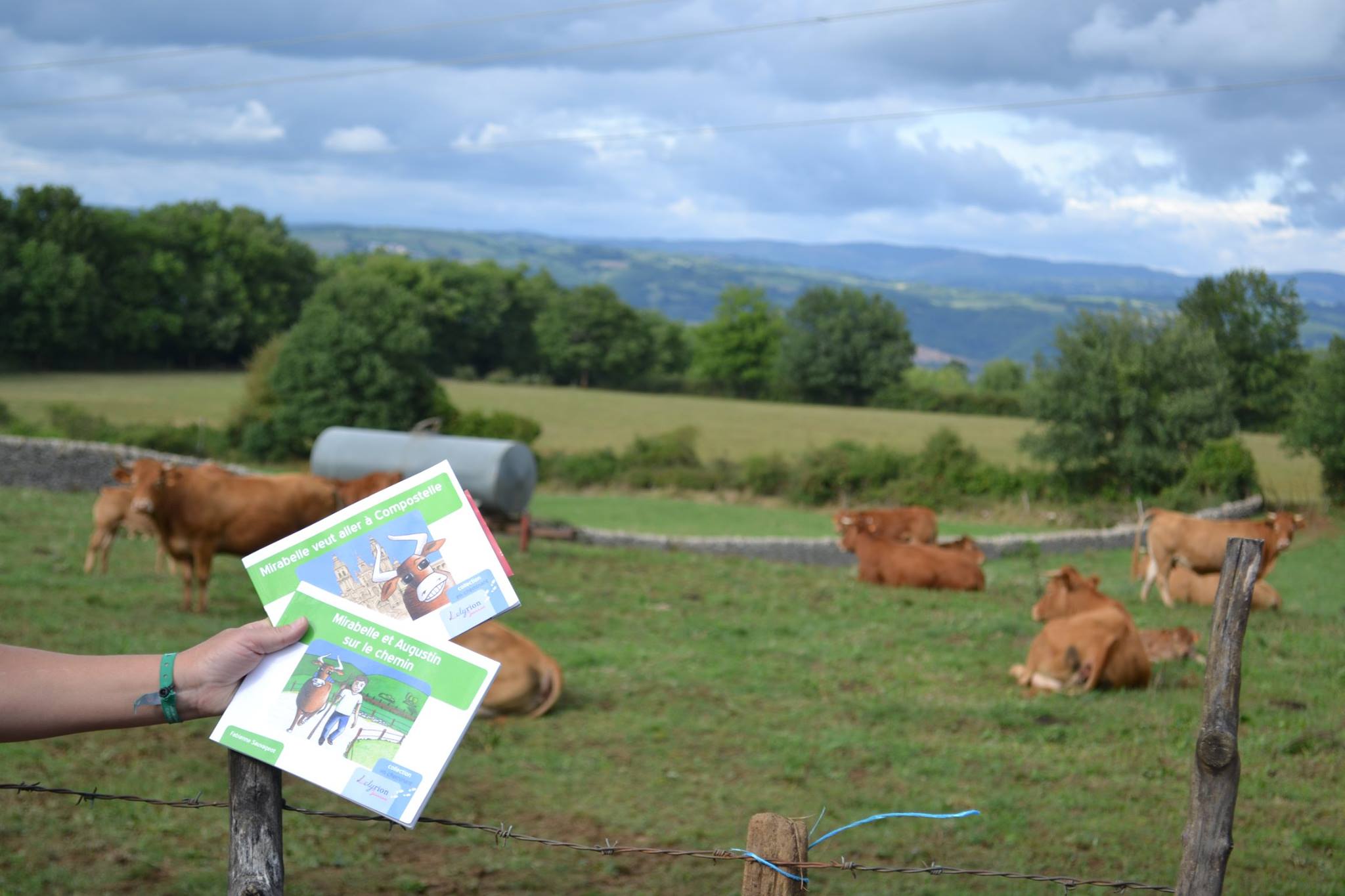 Mirabelle en balade en Aveyron